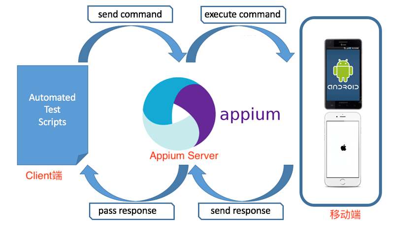 Appium通信过程